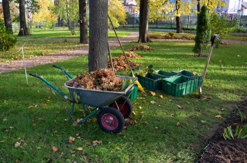 Vegetation Management in Fall