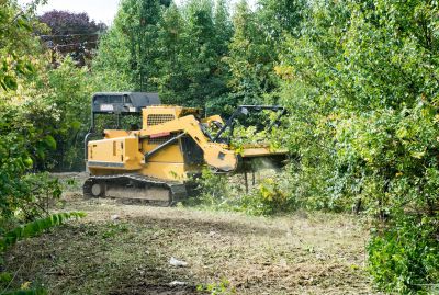 Frozen Ground for Land Clearing