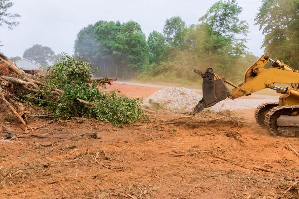Ground Clearing in Duluth