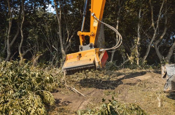 Brush Removal Service in Duluth