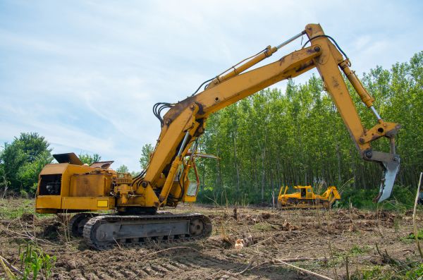 Cost of Farm Clearing in Duluth
