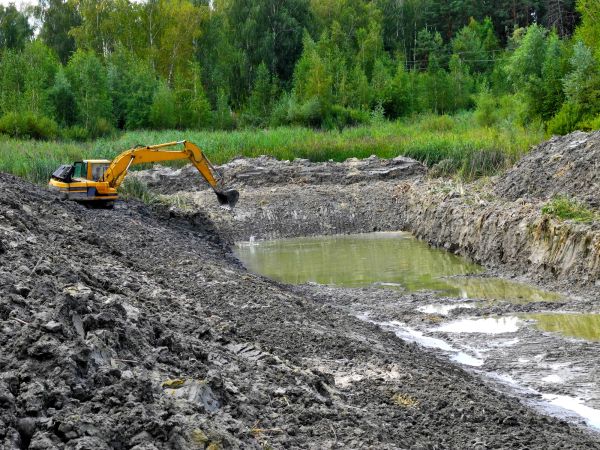 Cost of Lake Lot Clearing in Duluth