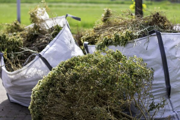 Cost of Bushes Clearing in Duluth