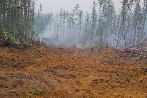 Cost of Hill Clearing in Duluth