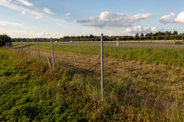 Cost of Property Line Clearing in Duluth