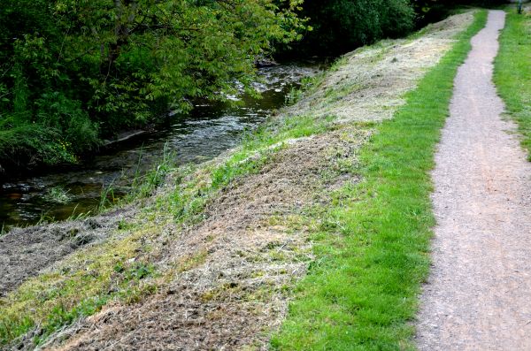 Cost of Trail Cutting in Duluth